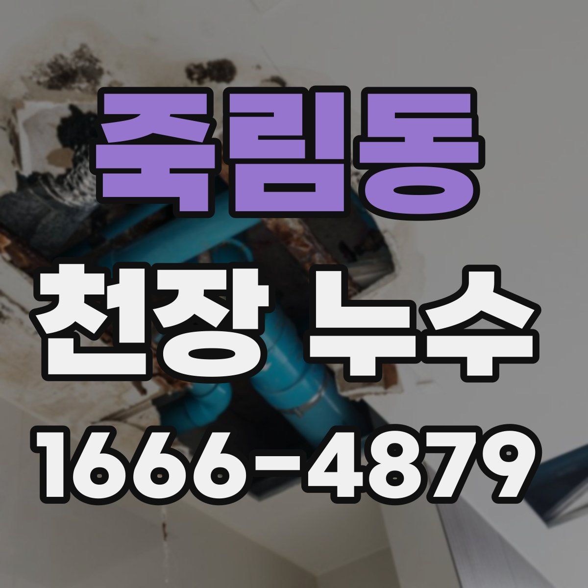 죽림동 천장 누수