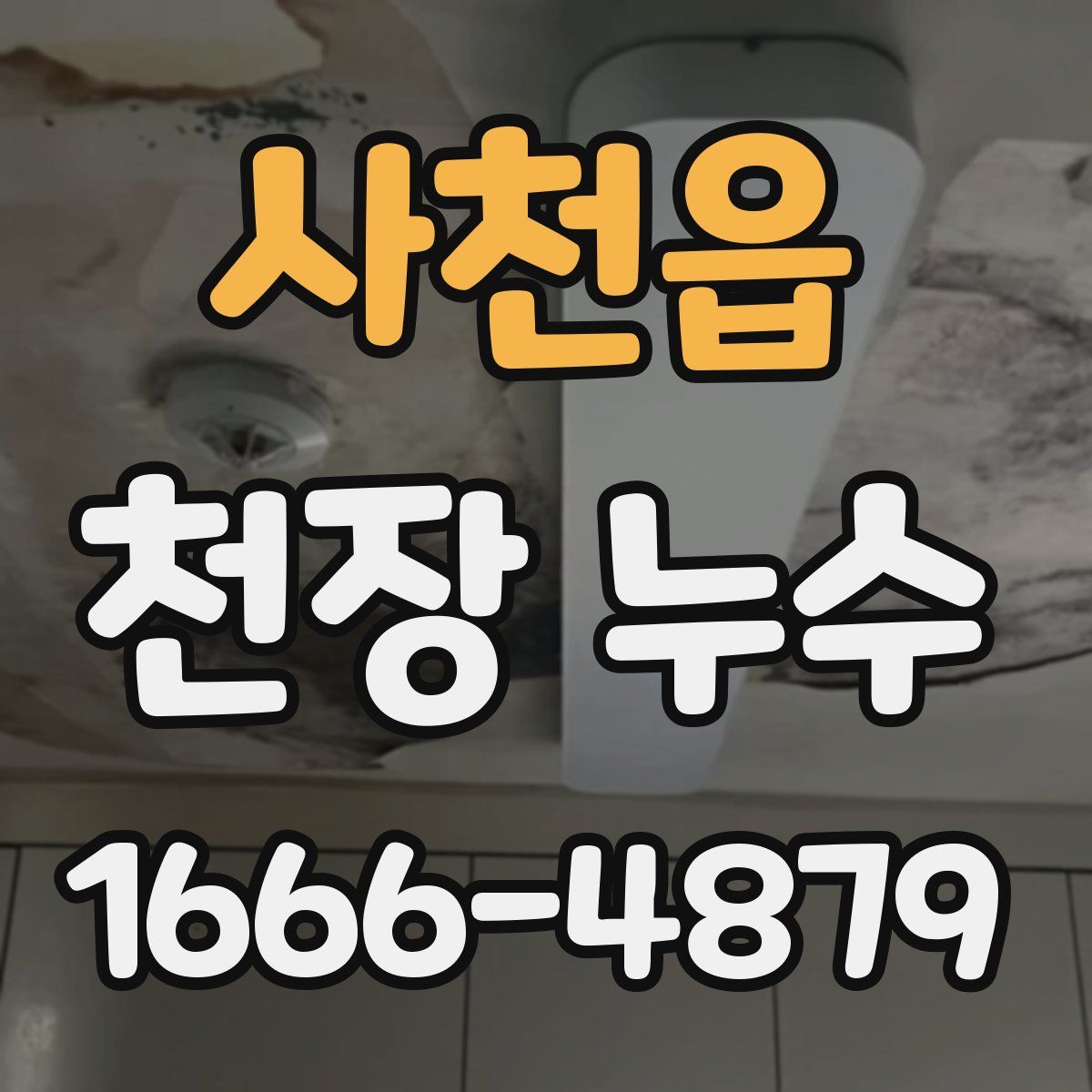 사천읍 천장 누수