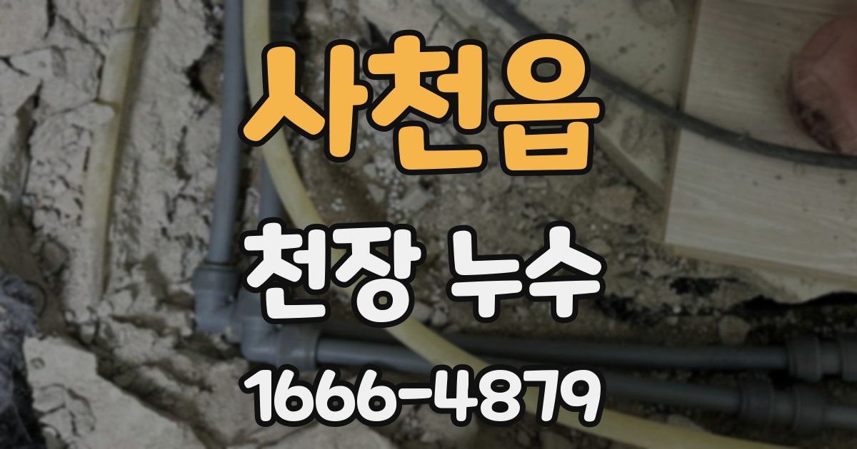 사천읍 천장 누수