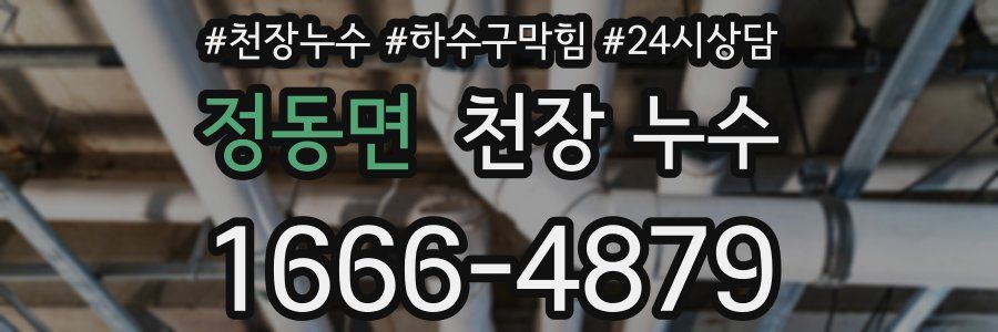 정동면 천장 누수