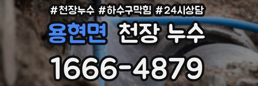 용현면 천장 누수