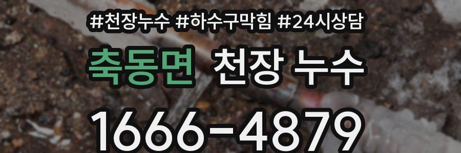 축동면 천장 누수