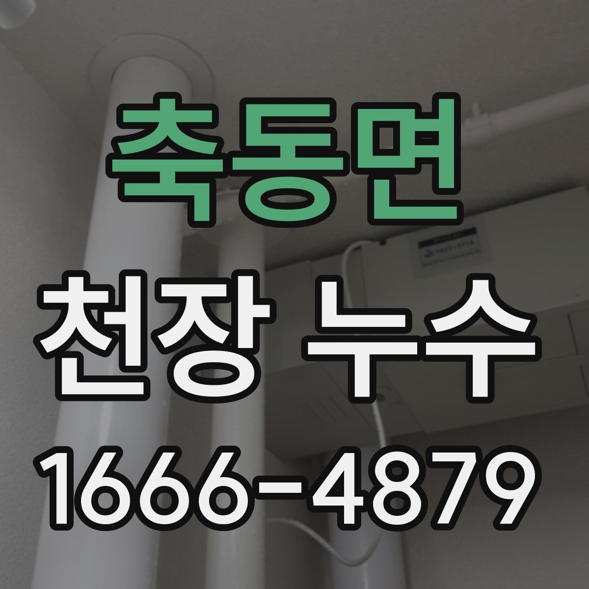 축동면 천장 누수