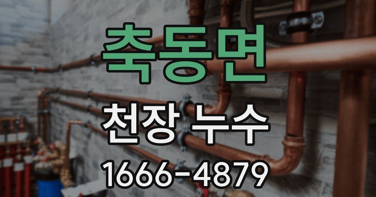 축동면 천장 누수