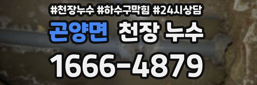 곤양면 천장 누수