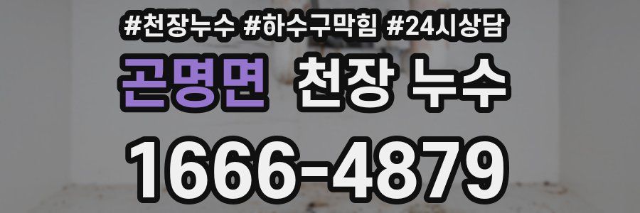 곤명면 천장 누수