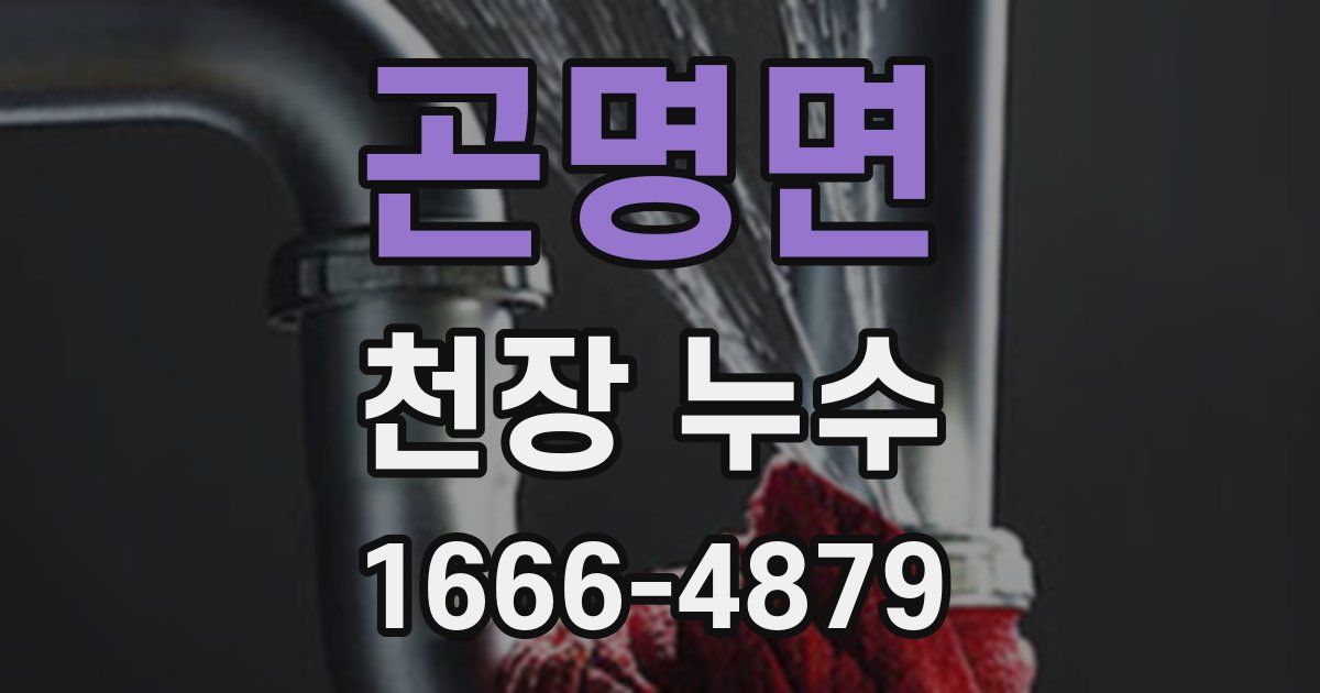 곤명면 천장 누수