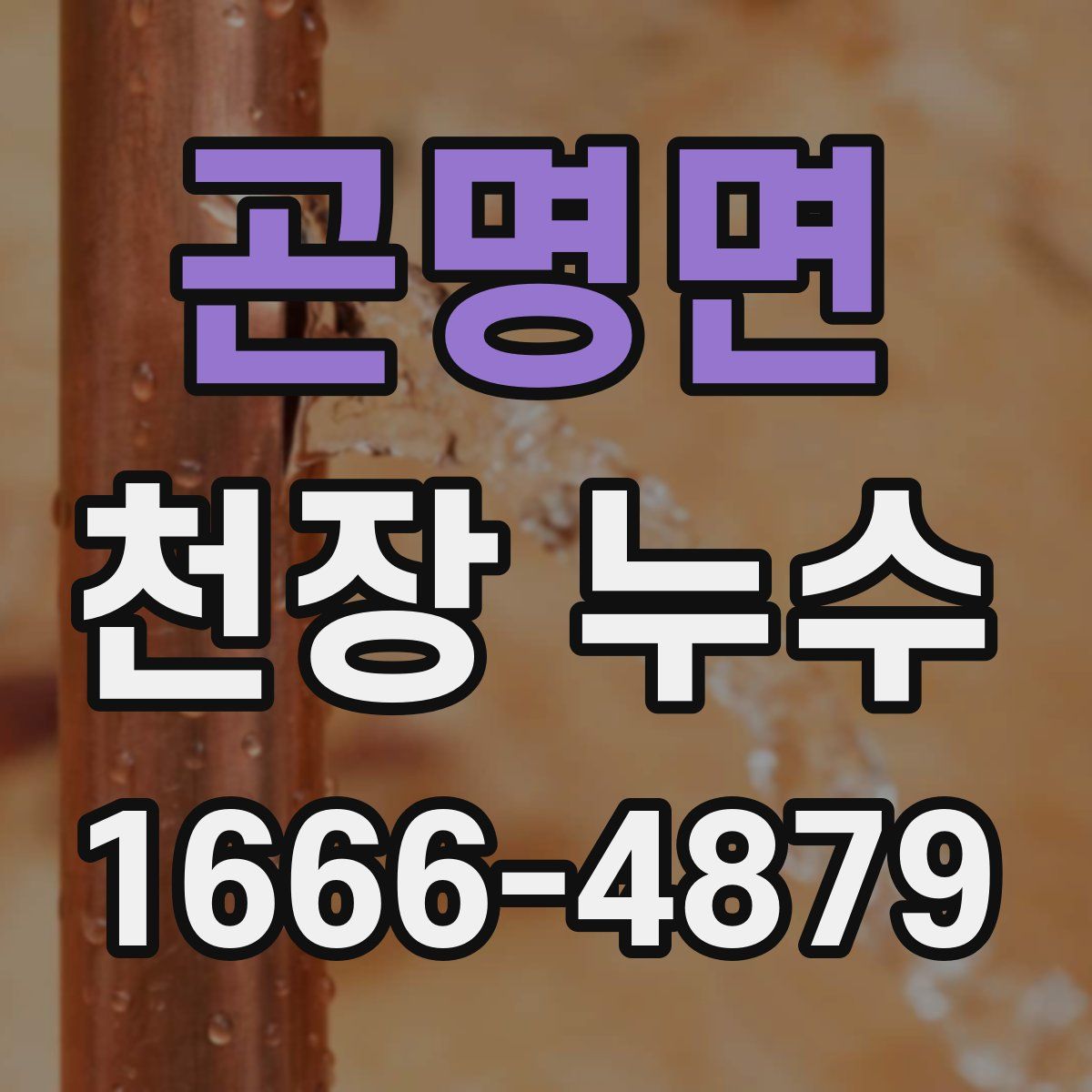 곤명면 천장 누수