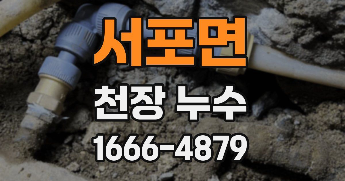 서포면 천장 누수