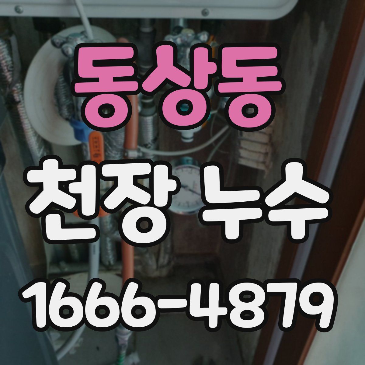 동상동 천장 누수