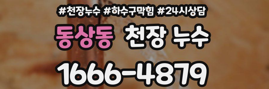 동상동 천장 누수