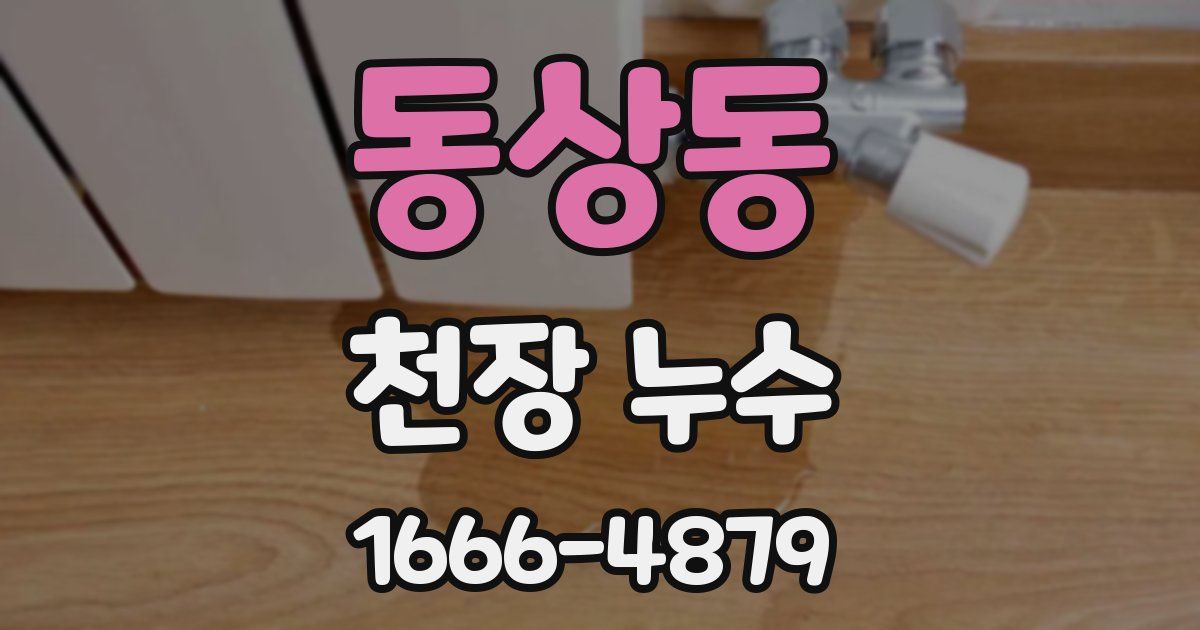 동상동 천장 누수