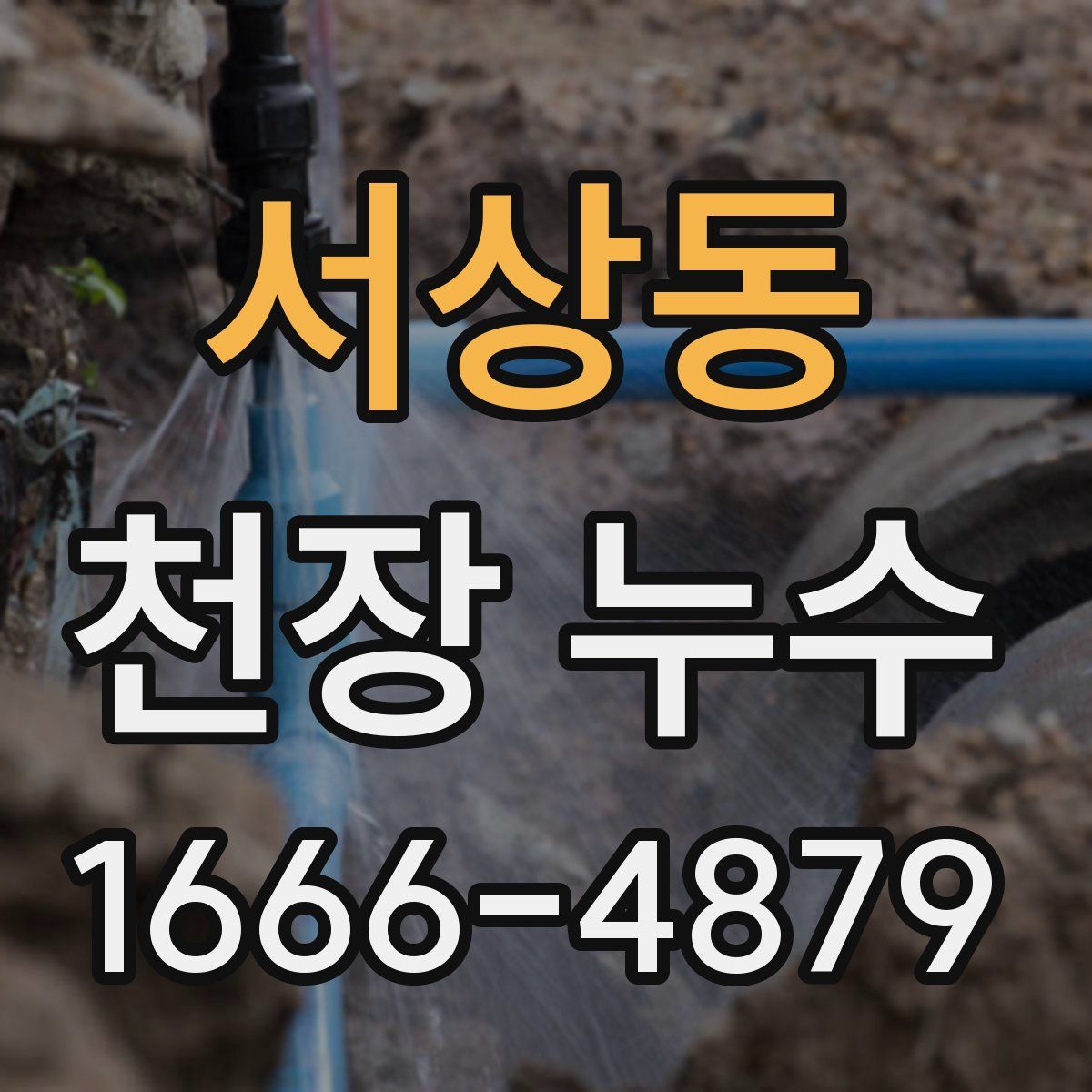 서상동 천장 누수