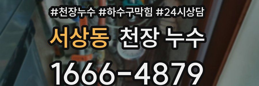 서상동 천장 누수