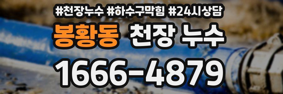 봉황동 천장 누수