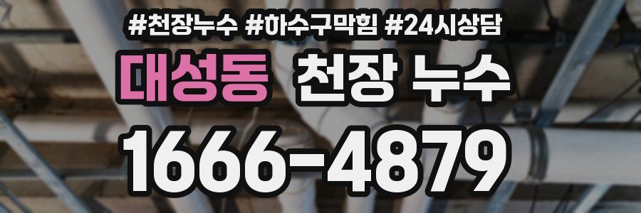 대성동 천장 누수