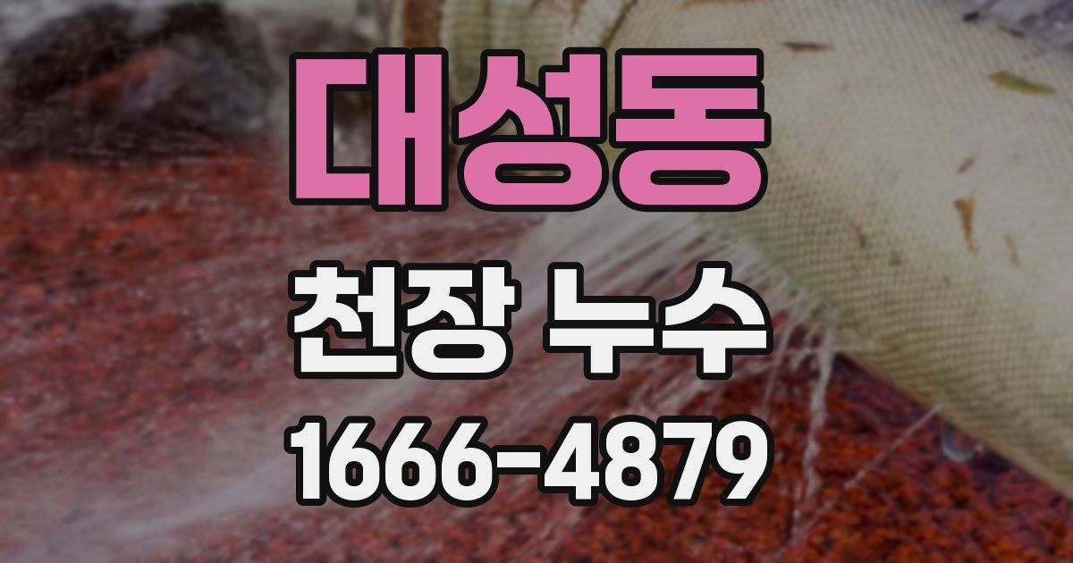 대성동 천장 누수