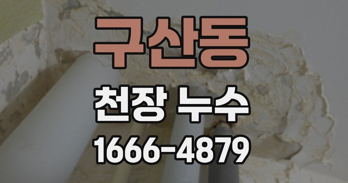 구산동 천장 누수