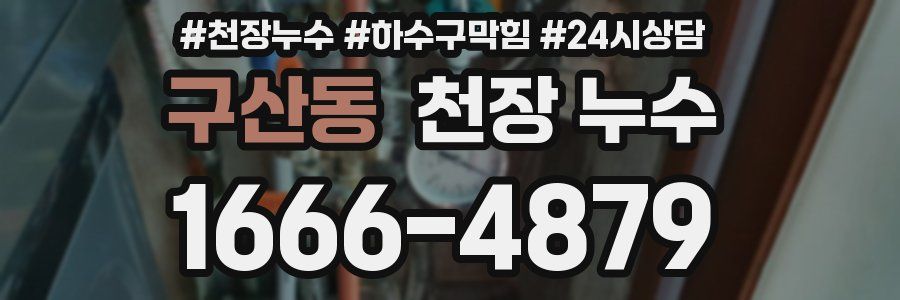 구산동 천장 누수