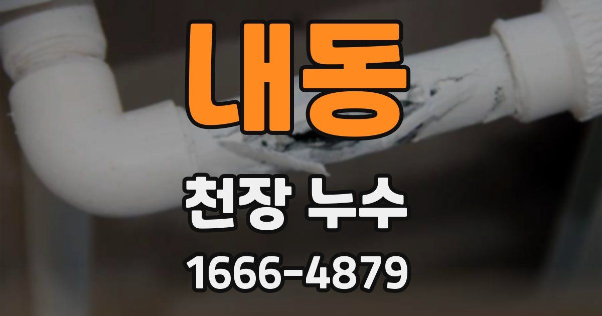 내동 천장 누수