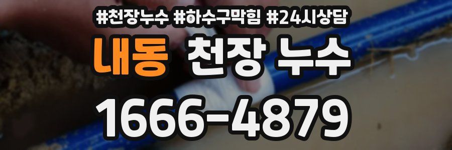 내동 천장 누수