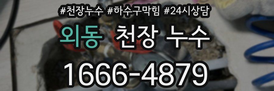 외동 천장 누수