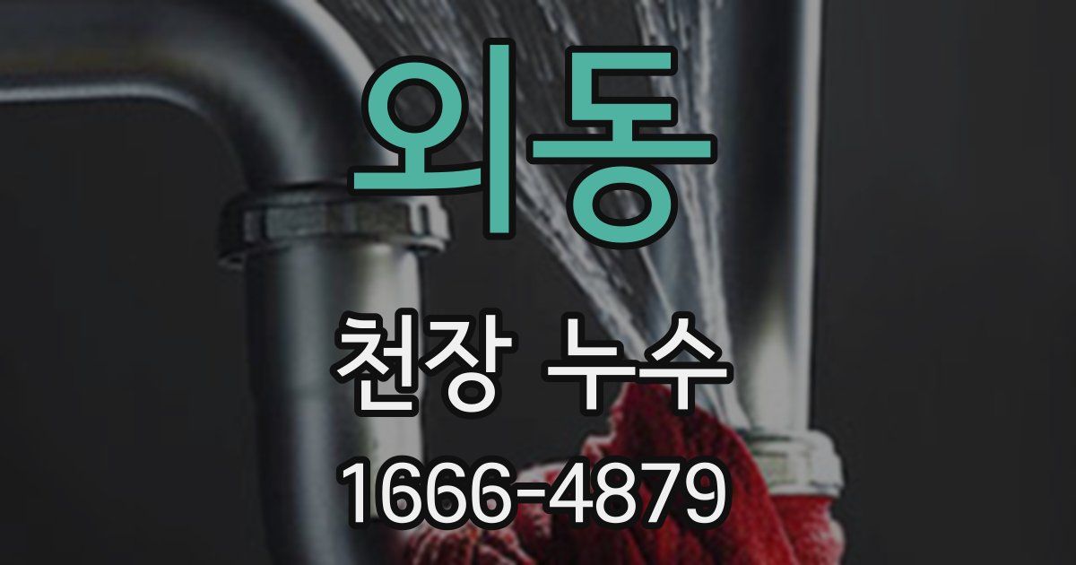 외동 천장 누수