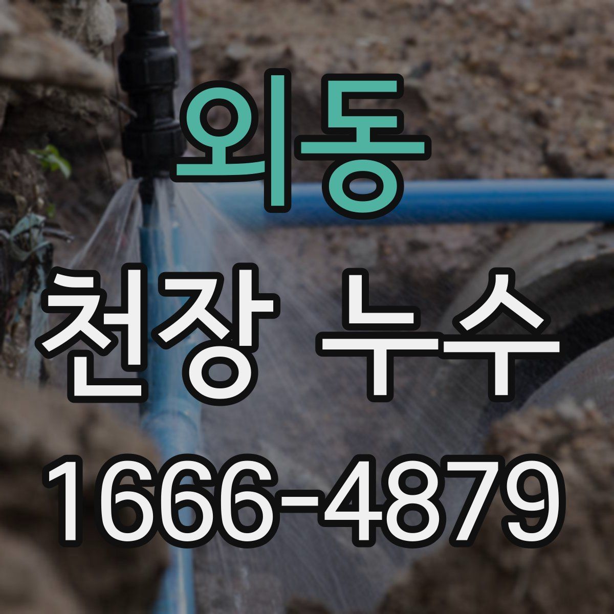 외동 천장 누수