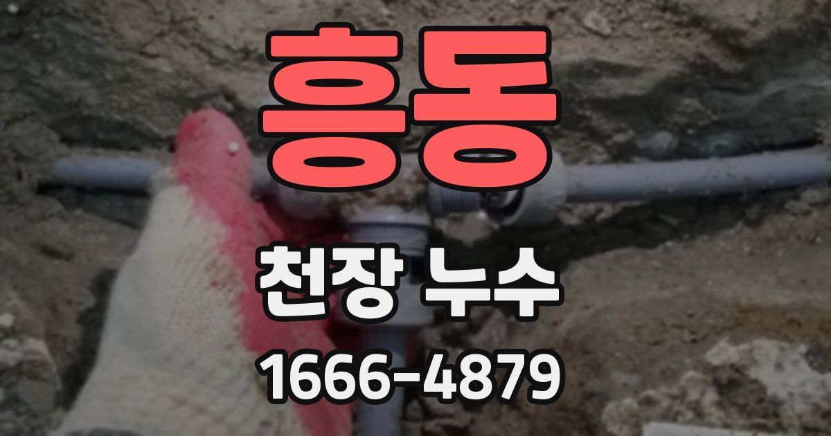 흥동 천장 누수