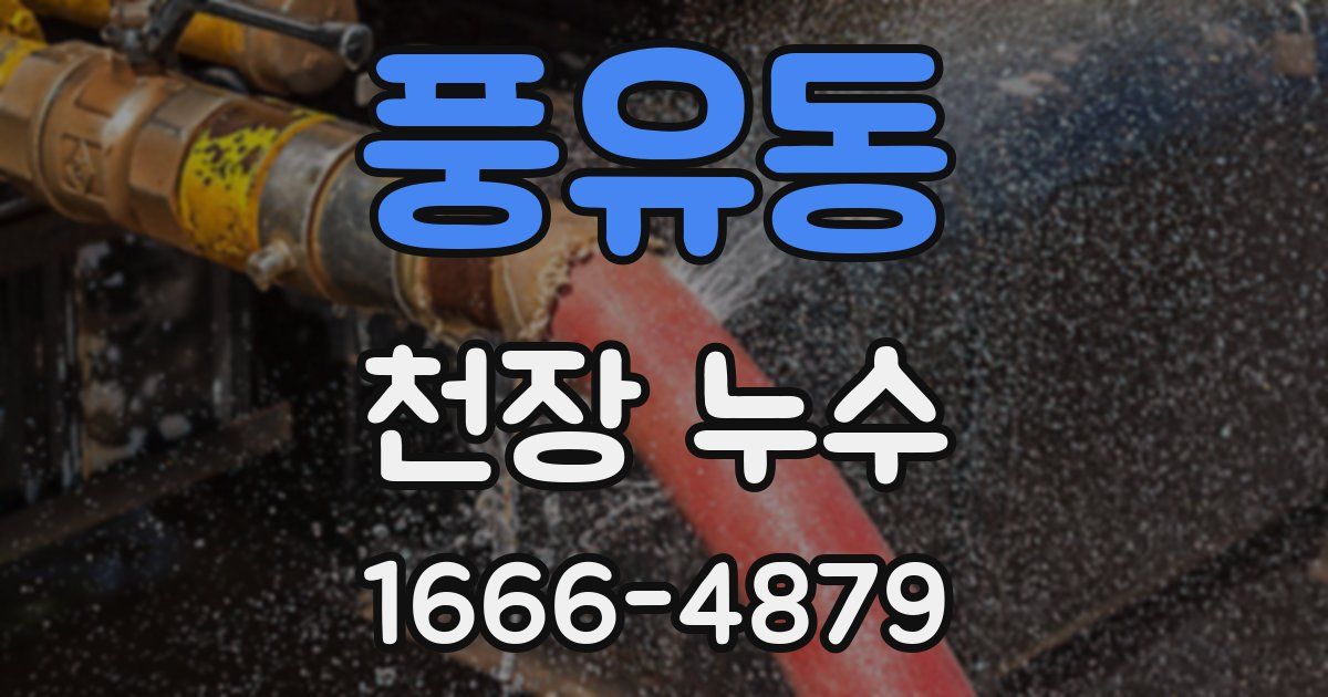 풍유동 천장 누수