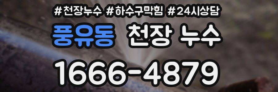 풍유동 천장 누수