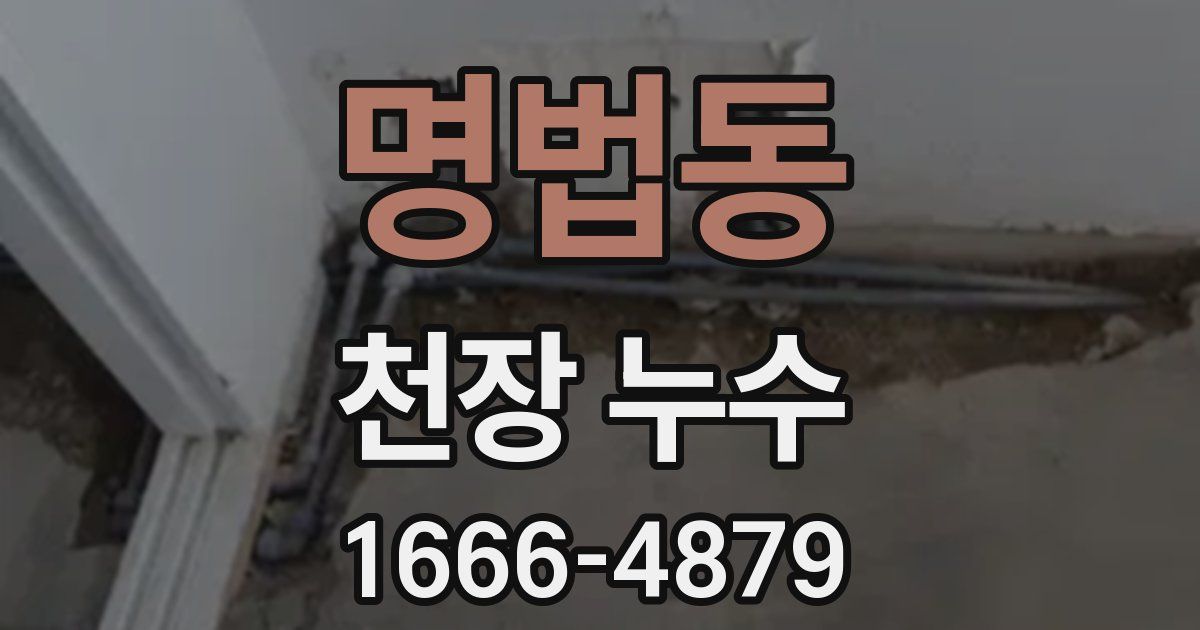 명법동 천장 누수