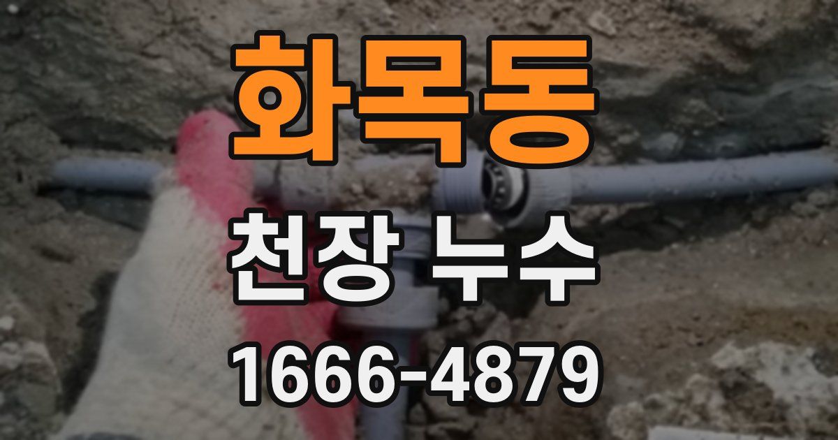 화목동 천장 누수