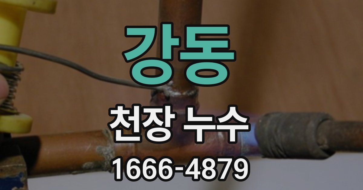 강동 천장 누수