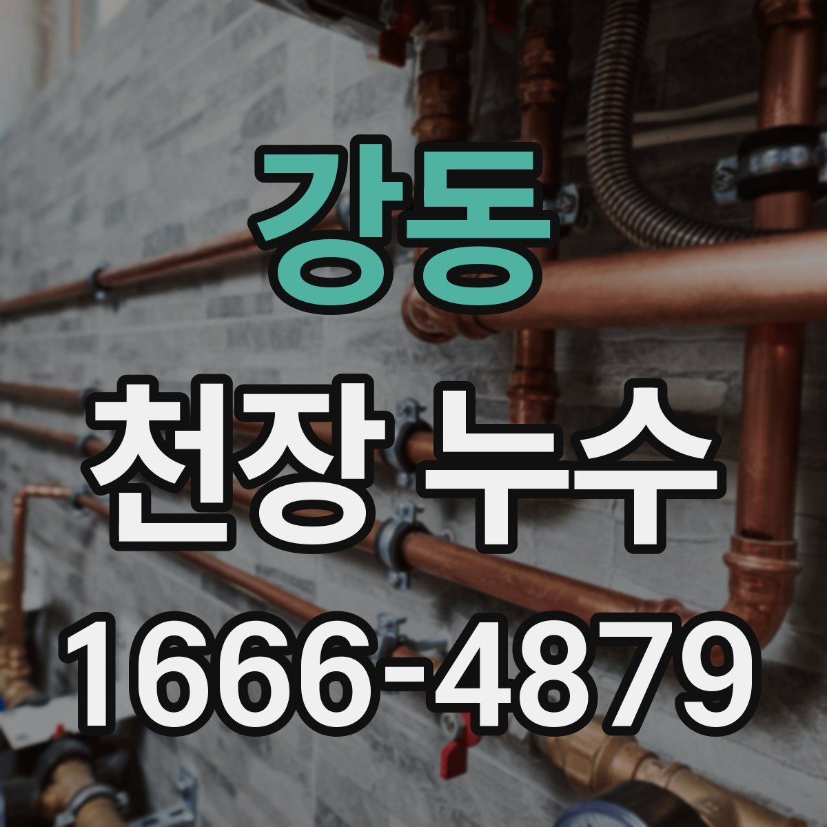 강동 천장 누수