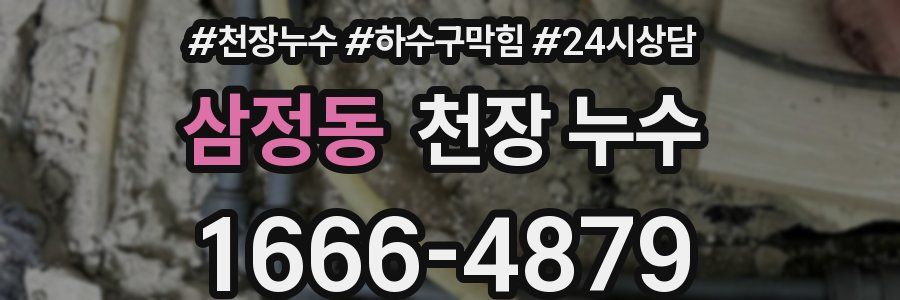 삼정동 천장 누수