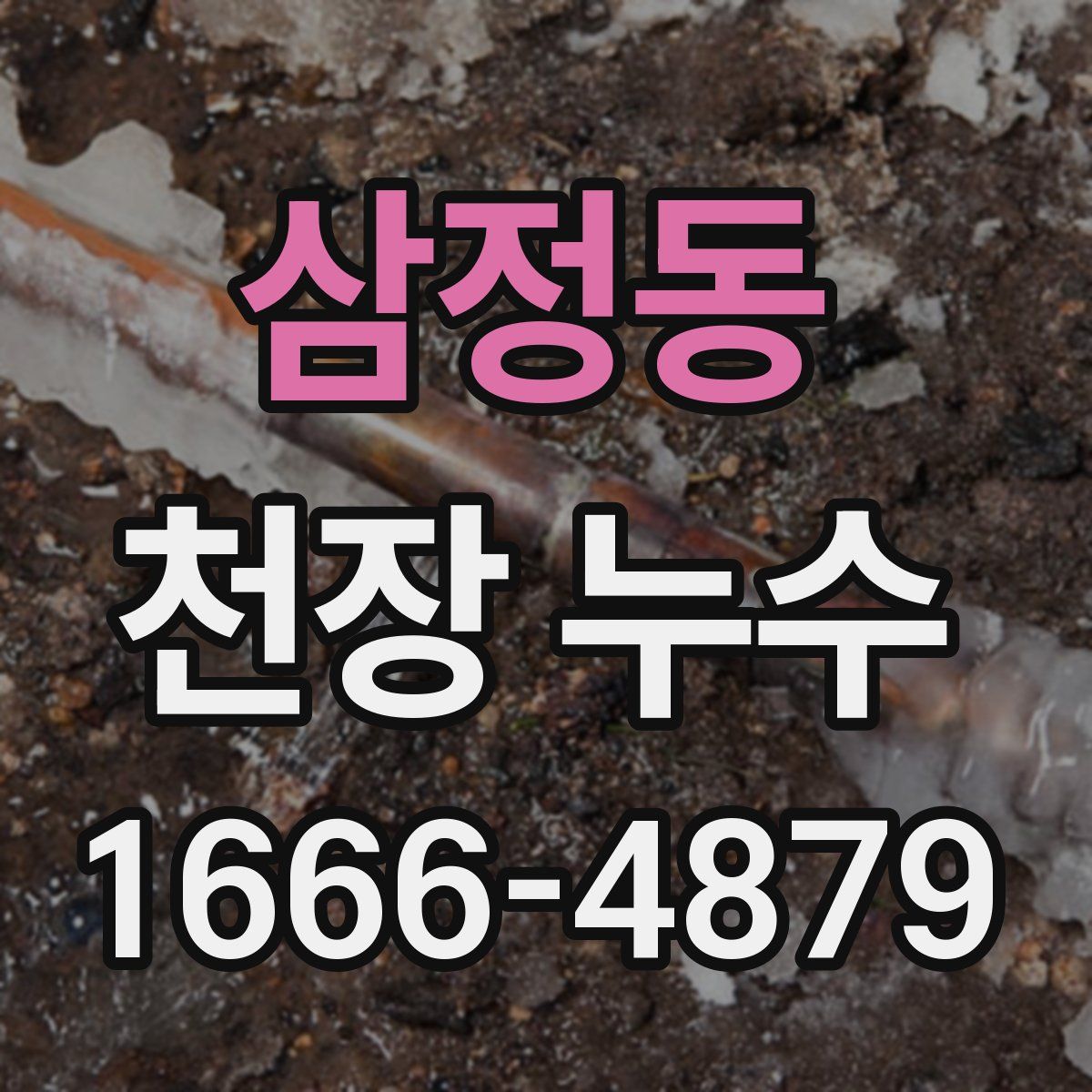 삼정동 천장 누수