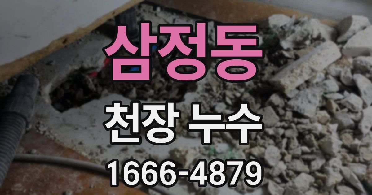 삼정동 천장 누수