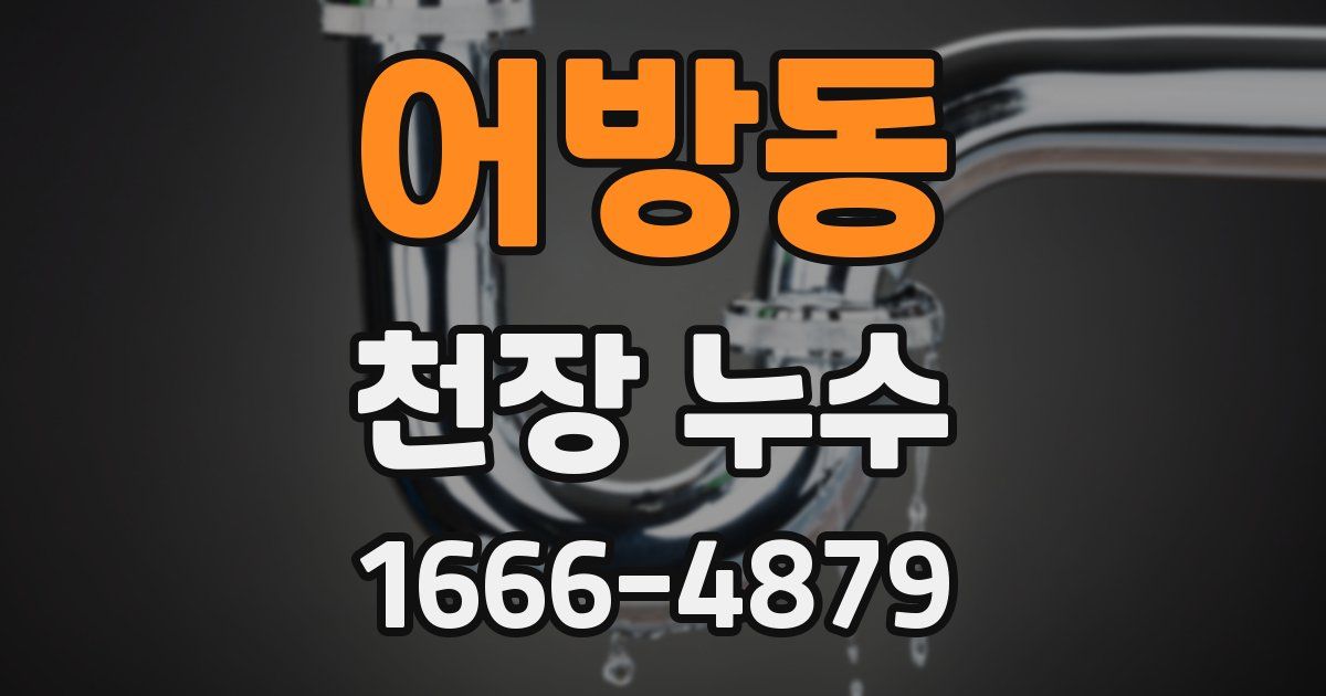 어방동 천장 누수