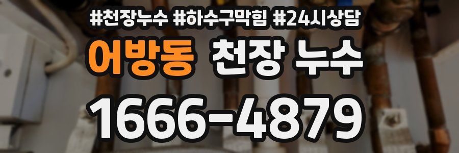 어방동 천장 누수