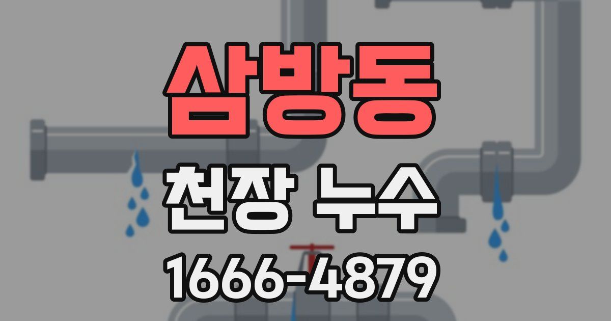 삼방동 천장 누수