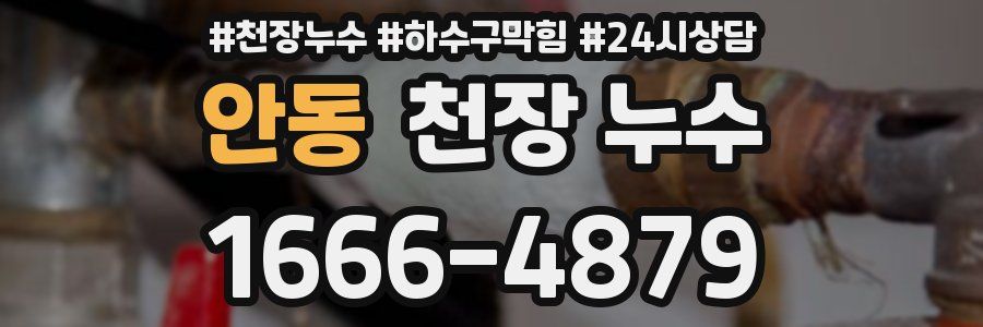 안동 천장 누수