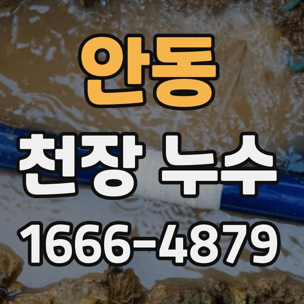 안동 천장 누수