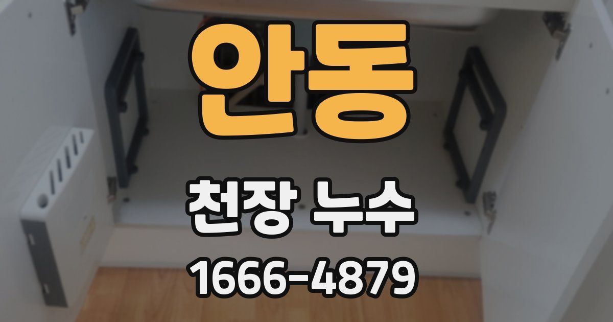 안동 천장 누수