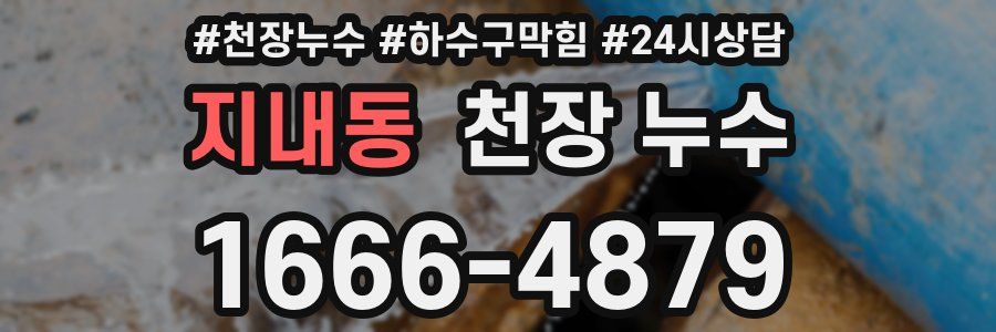 지내동 천장 누수