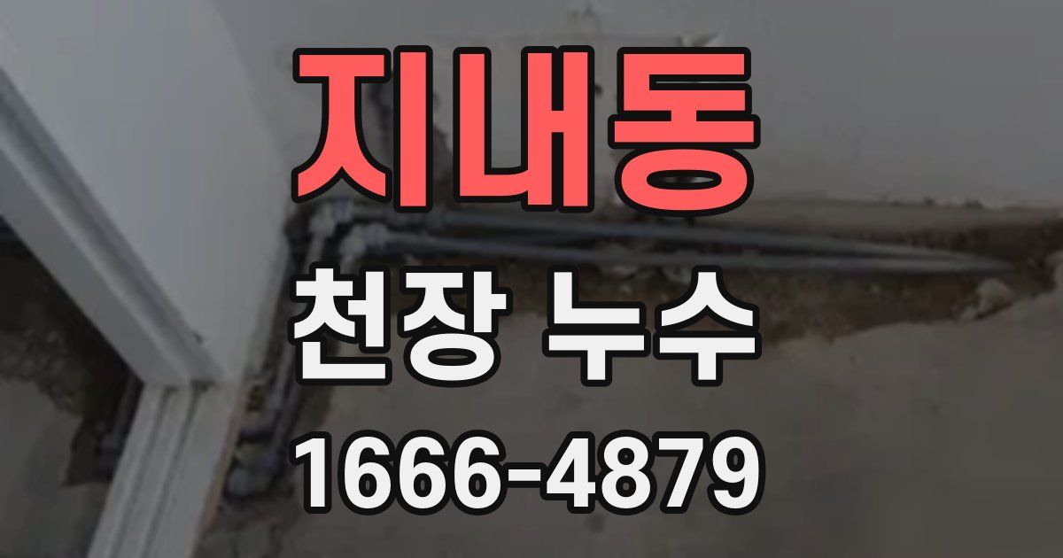 지내동 천장 누수