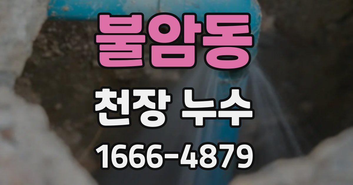 불암동 천장 누수