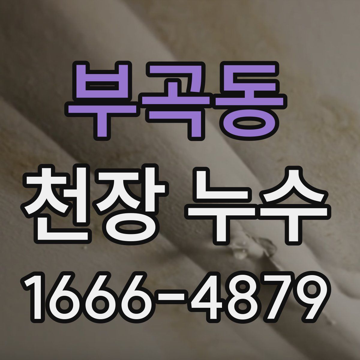 부곡동 천장 누수