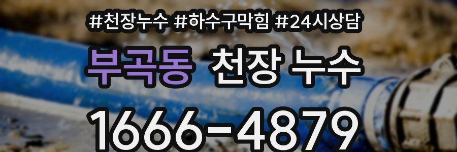 부곡동 천장 누수