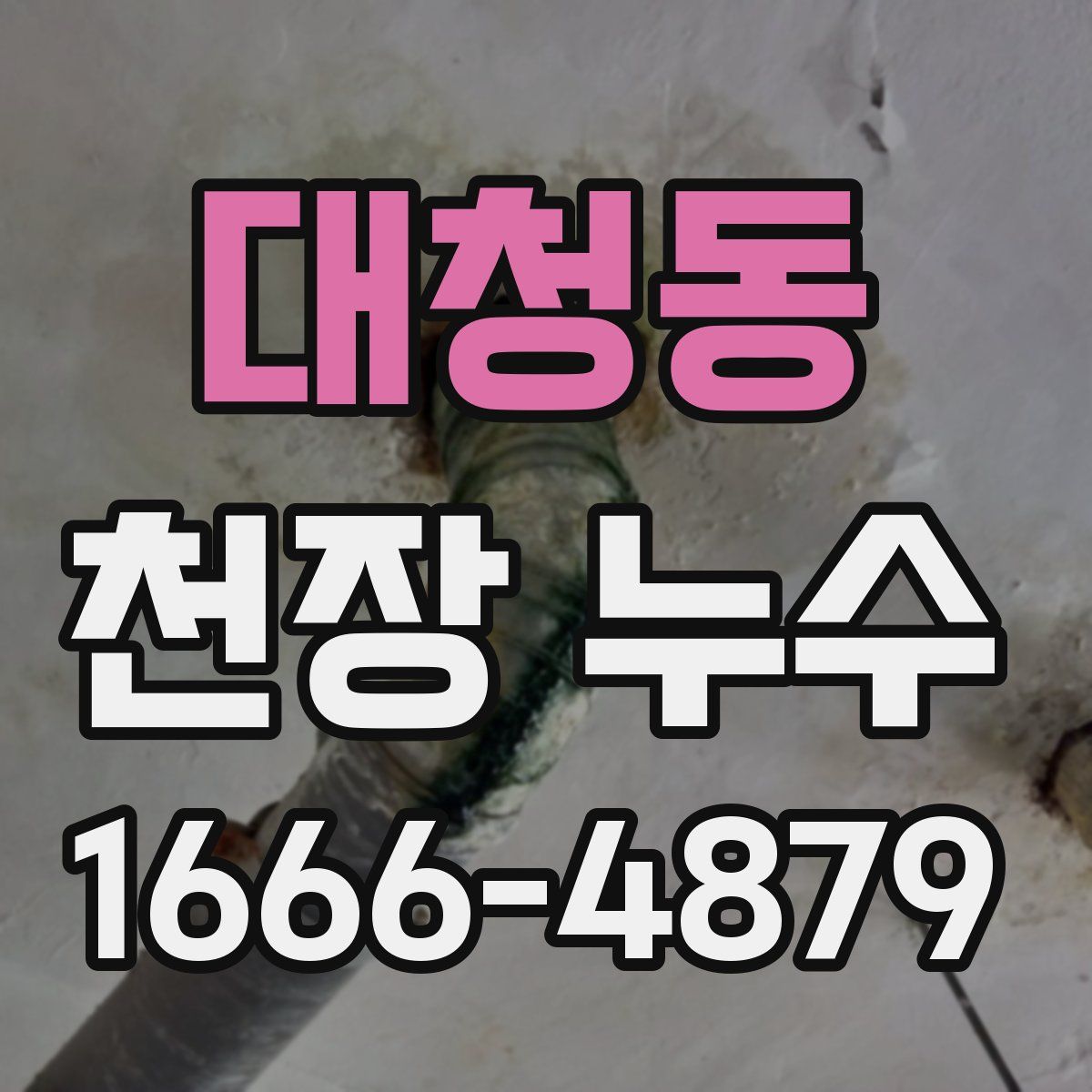대청동 천장 누수